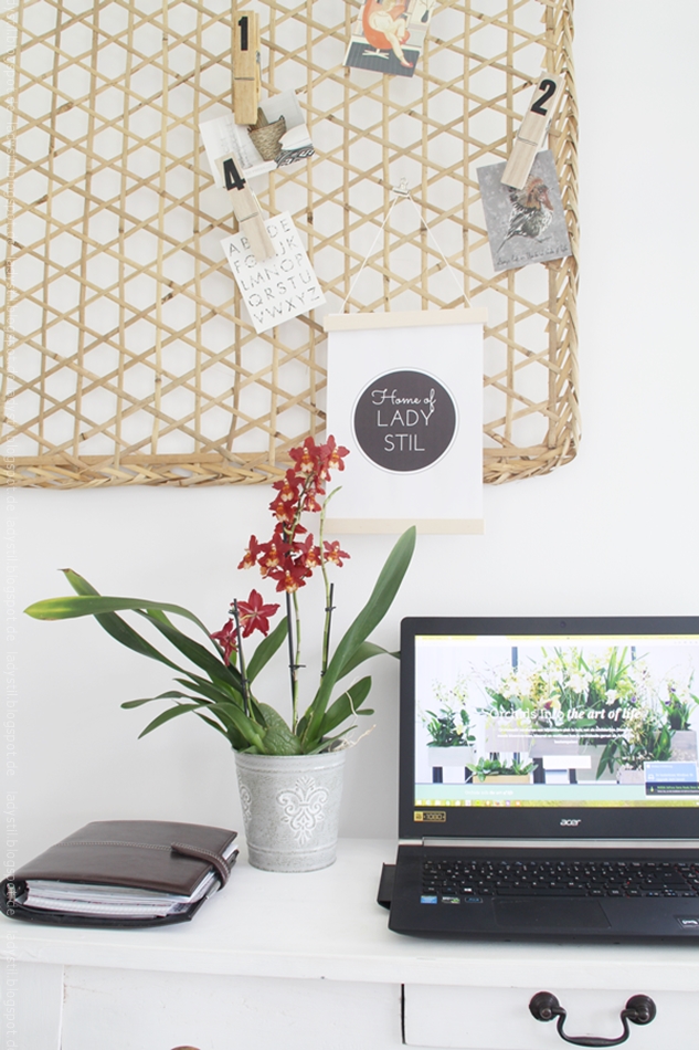 rote Orchidee im Officebereich mit Bambuspinnwand und Computer