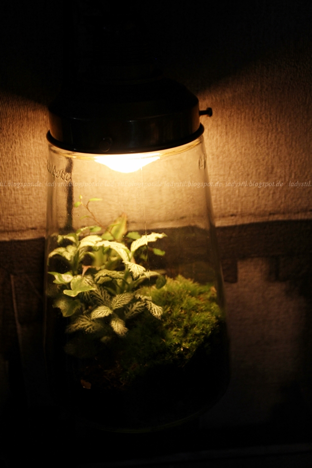 Pflanzen in einer leuchtenden Lampe auf der vt wonen en design beurs in Amsterdam 2015