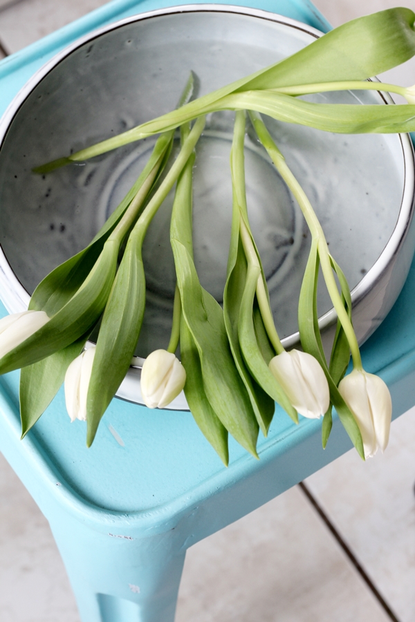 Blick auf die Schale mit liegenden weißen Tulpen